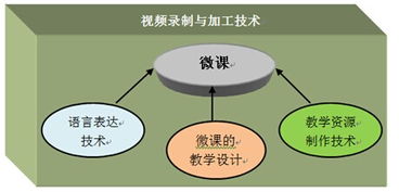 职业选择，揭示高收入工作的关键因素与潜在机会