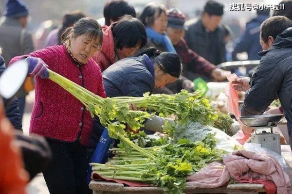 农村做什么赚钱又好？