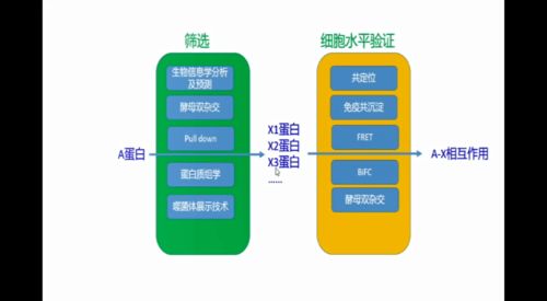 视频创业之路，寻找最有利可图的项目和策略