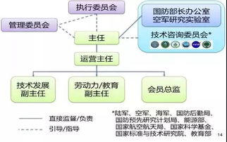 木板场的多元发展，从传统制造到现代创新，探索更多赚钱途径