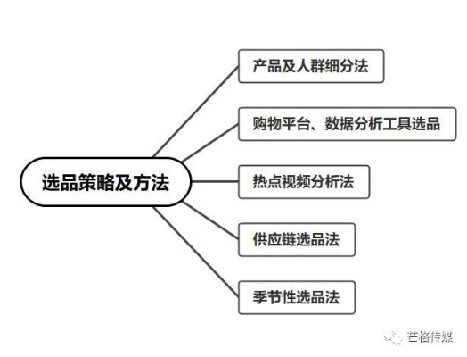 电商领域的成功之路，如何选择适合自己的电商平台和产品策略