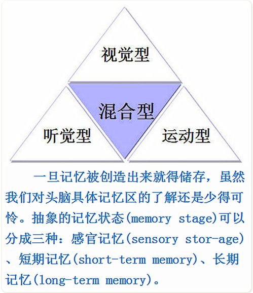 收树杈的奥秘，如何将其转化为高价值的生意机会