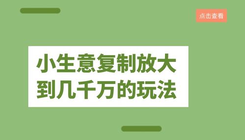 公司赚钱项目无限可能