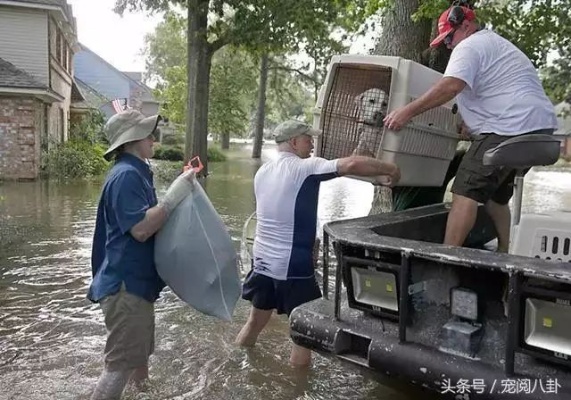 天灾多，做什么赚钱最快？