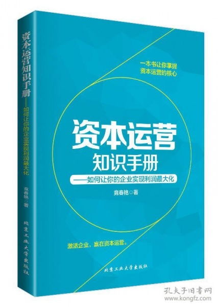 三十万的资本，如何转化为高回报的代理经济，一份全面的指南