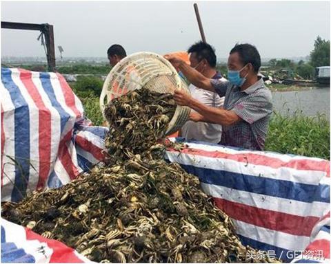 选择正确的食品生意方向，实现财富滚滚而来