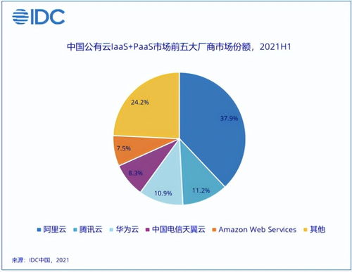 鸡蛋生意的多元化经营策略