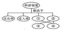 利用绘画基础，探索多元化的赚钱途径