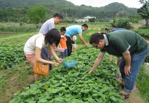 农民做什么赚钱渠道最好