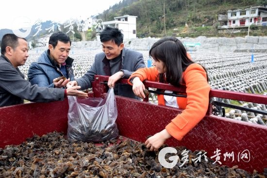 在德江做什么生意赚钱，探寻当地特色产业与商业机会