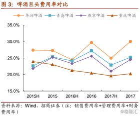 酒吧行业盈利之道，如何通过不同方式实现最大化收益