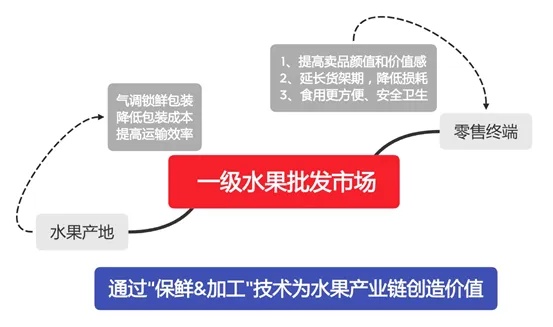 水果加工厂的盈利模式与创新之路