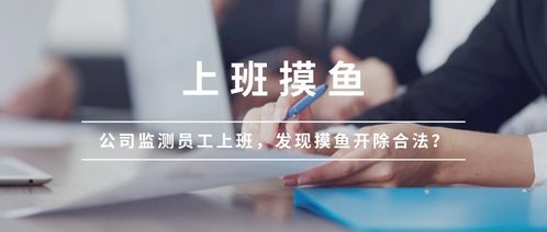 公司摸鱼能做什么赚钱？