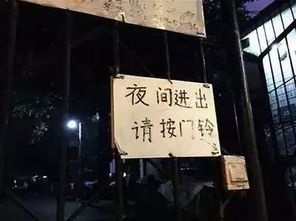 晚上小区做什么生意赚钱？探讨晚间经济的无限可能