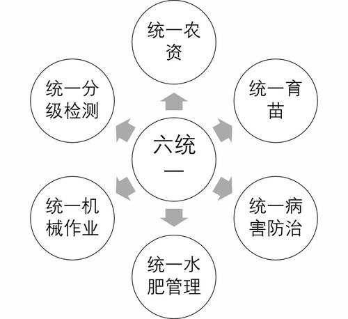 农场经营的创新与盈利模式探讨