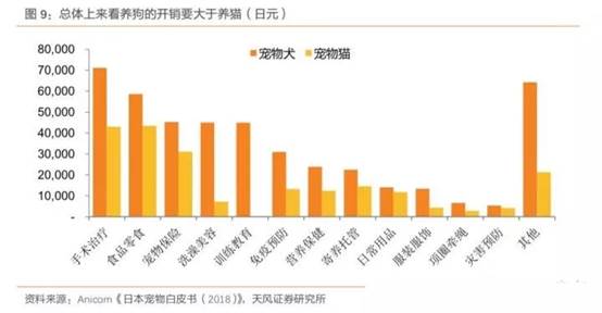 洛阳市场新趋势，2023年哪些行业和生意有前景