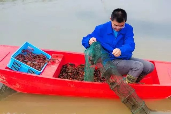 致富秘籍龙虾窝创业之旅，如何利用龙虾资源赚钱