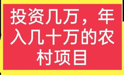 在农村做什么赚钱呀？