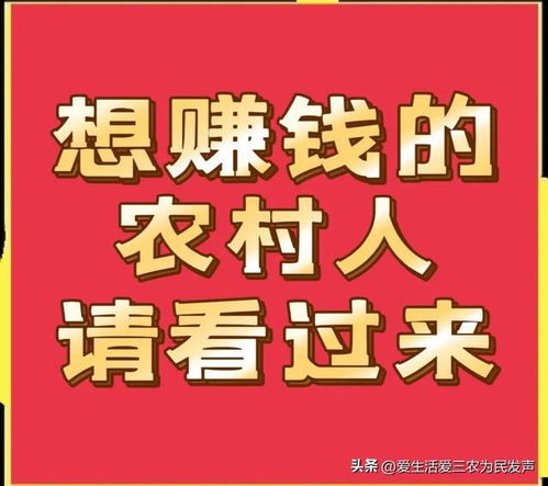 在农村做什么赚钱呀？