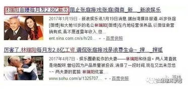 蔡家赚钱秘籍，揭秘家族企业的成功之道