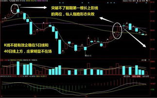 火速升级！食材配送行业新趋势，如何轻松赚钱