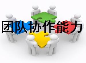 团队协作的力量，如何通过团队合作实现财富增长