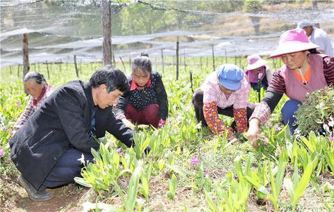 在会泽做什么工作赚钱？