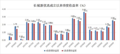 大专学院如何通过多元化经营实现持续盈利增长