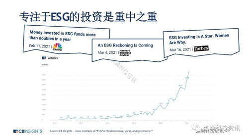 探索多元化投资策略，如何利用现代科技和新兴市场实现财富增长