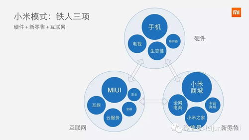 探寻日本IT行业的盈利之道，揭示成功企业的商业模式与创新技术