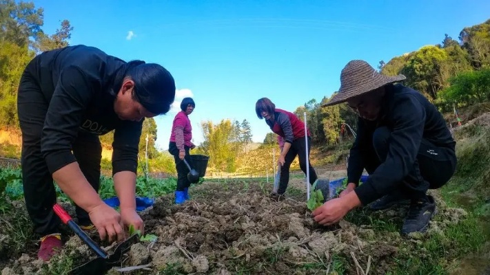 农村人赚钱新途径，挖掘乡村振兴的潜力