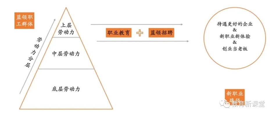 实际且盈利，探索现代社会中最具潜力的职业路径