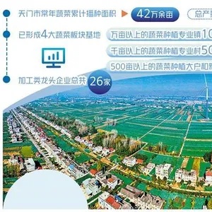 湖北天门市，探索多元化产业结构，挖掘新的商业机遇