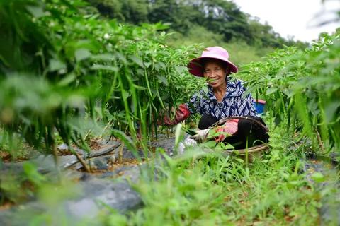 观山湖做什么赚钱？