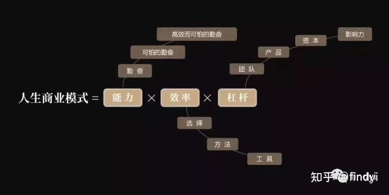 阿阳的商业智慧，揭示成功秘诀与潜在商业模式