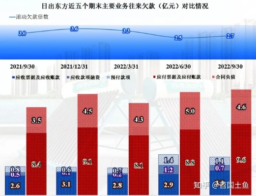 太阳股份做什么产品赚钱？探讨其核心业务与未来发展方向