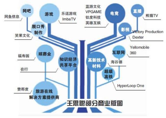 揭秘王昱珩的商业版图，一位成功人士的多元化盈利策略