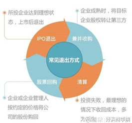 挖掘羊肉生意的无限可能，哪些领域最具盈利潜力