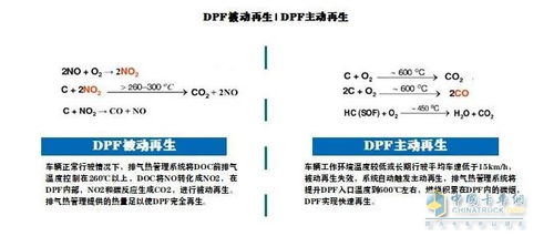 挖掘羊肉生意的无限可能，哪些领域最具盈利潜力