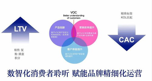 电商成功之道，如何通过创新和精细化运营实现盈利