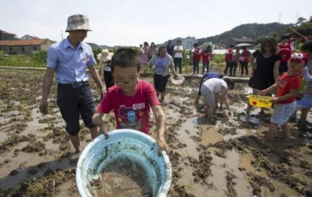 泥潭里做什么生意赚钱？