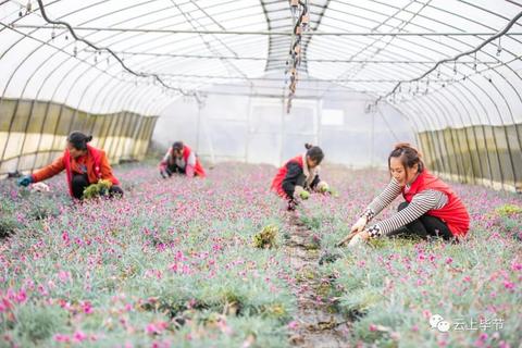 贵州毕节做什么好赚钱？