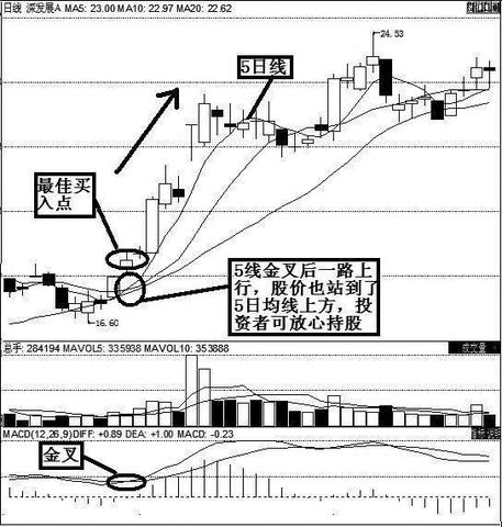 手机赚钱之道，掌握这些技能，让你轻松实现财务自由