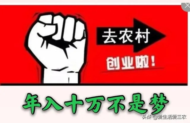 农村创业项目大盘点，如何选择适合自己的赚钱门路