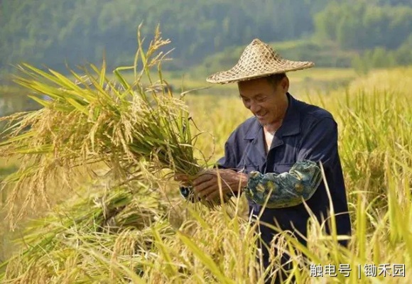 农民如何转型赚钱，新农业时代的机遇与挑战