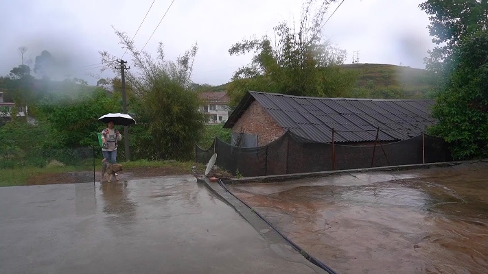 农村下雨做什么赚钱多