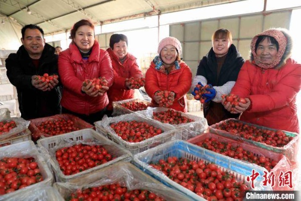 西安农民如何通过多元化经营实现增收致富