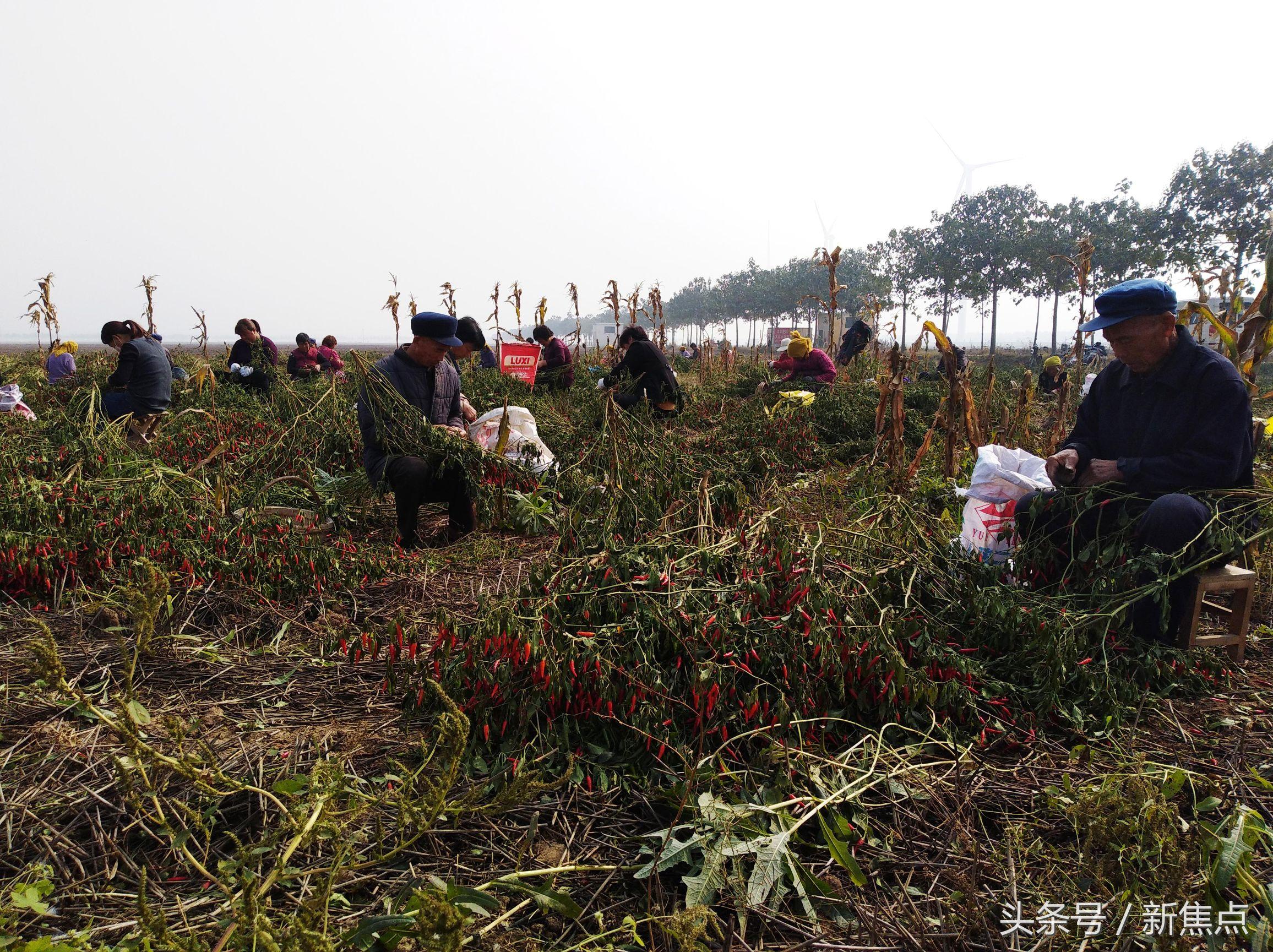 不同季节做什么生意赚钱