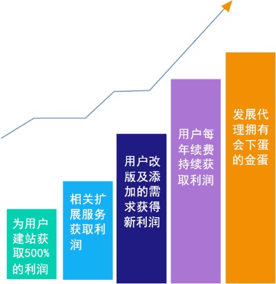 卡商如何利用多元化项目实现财富增长