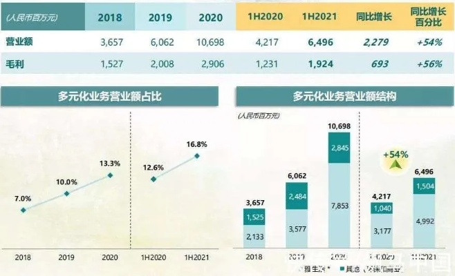 探索多元化盈利路径，挖掘代理行业的巨大潜力